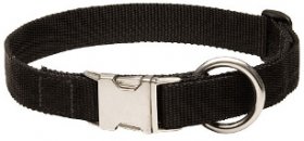 High Quality Nylon Collar with Quick Release Buckle for Siberian Husky