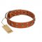 "Faraway Galaxy" FDT Artisan Tan Leather Siberian Husky Collar Adorned with Stars and Squares