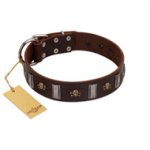 "War Chief" FDT Artisan Genuine Brown Leather Siberian Husky Collar with Skulls and Plates