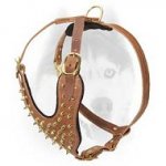 Super strong durable harness for your Siberian Husky