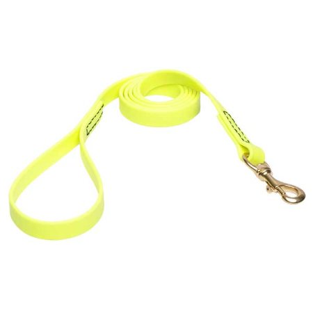 Yellow Waterproof Siberian Husky Leash Made of Biothane
