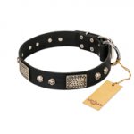 "Pirates Gold" FDT Artisan Black Leather Siberian Husky Collar with Old Silver Look Plates and Skulls