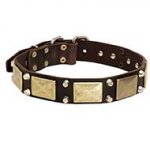 Decorated Leather Siberian Husky Collar with Brass Massive Plates and Nickel Pyramids