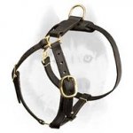 De-luxe handcrafted light weight Siberian Husky harness
