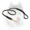 Elegant Leather Leash for Siberian Husky with Braids