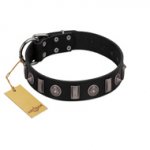 "Silver Spikes" Exclusive FDT Artisan Black Leather Siberian Husky Collar