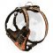 Extra comfort stylish leather harness for your Siberian Husky