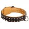 Gorgeous Nappa Padded Leather Siberian Husky Collar with Nickel Spikes