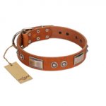 "Pawsy Glossy" FDT Artisan Exclusive Tan Leather Siberian Husky Collar 1 1/2 inch (40 mm) wide