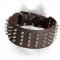 Spiked Leather Siberian Husky Collar 3 Inch Wide