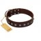 "Kingly Grace" FDT Artisan Brown Leather Siberian Husky Collar with Silver-like Dotted Studs