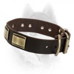 Luxury Leather Collar with Brass Plates for Siberian Husky