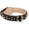 Siberian Husky Leather Nappa Padded Collar with Brass Spikes