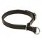 Leather Choke 2 Ply Siberian Husky Collar