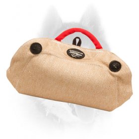 Jute Bite Builder with Three Handles for Training Siberian Husky Puppies