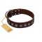 "Starry-Eyed" Best Quality FDT Artisan Brown Designer Leather Siberian Husky Collar with Small Plates