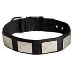 Water Resistant Nylon Siberian Husky Collar with Massive Plates