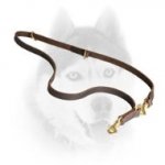 Ultimate Working Dog Lead for Training, Working, Tracking with Siberian Husky