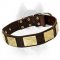 Leather Siberian Husky Collar with Brass Plates