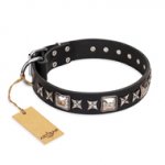 'Space Walk' FDT Artisan Black Leather Siberian Husky Collar with Adornments