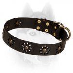 'Spring mood' Leather Dog Collar for Pleasant Walking