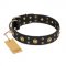"Cosmic Glow" FDT Artisan Black Leather Siberian Husky Collar with Brass-Plated Studs