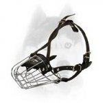 Perfect for all seasons wire basket muzzle for Siberian Husky