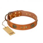 "Sun Beams" FDT Artisan Tan Leather Siberian Husky Collar with Decorations