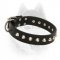 Comfy elegant leather Siberian Husky collar with cones