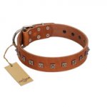 "Guard of Honour " Designer FDT Artisan Tan Leather Siberian Husky Collar with Small Dotted Pyramids