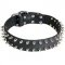Leather Siberian Husky Collar with 2 Rows of Spikes