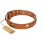 "Visual Magic" FDT Artisan Tan Leather Siberian Husky Collar for Daily Activities