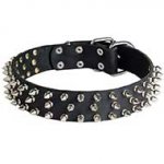 Incredible Leather Siberian Husky Collar with 3 Rows of Spikes