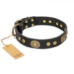 "Golden Radiance" FDT Artisan Black Leather Siberian Husky Collar with Old Bronze Look Ovals and Circles