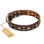 'High Fashion' FDT Artisan Embellished Brown Leather Siberian Husky Collar