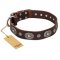 "Extra Pizzazz" FDT Artisan Adorned Brown Leather Siberian Husky Collar