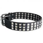 Leather Siberian Husky Collar with 3 Rows of Nickel Pyramids