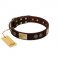 "Bow-Wow Effect" FDT Artisan Brown Leather Siberian Husky Collar with Plates and Ornate Studs