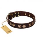 "Woofy Art" FDT Artisan Brown Leather Siberian Husky Collar Adorned with Old Bronze-like Studs