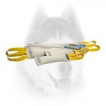 Fire Hose Bite Tugs Training Set