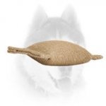 Small Siberian Husky Jute Bite Tug for Puppy Training