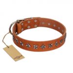 "Star Trek" FDT Artisan Tan Leather Siberian Husky Collar Decorated with Stars
