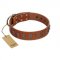 "Silver Century" Fashionable FDT Artisan Tan Leather Siberian Husky Collar with Silver-Like Plates