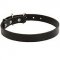 Exclusive Leather Siberian Husky Collar for Dog Walking
