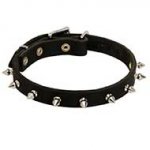 Handmade Leather Siberian Husky Collar with Smooth Nickel Spikes