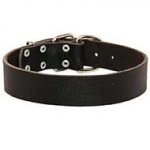 Extremely Durable Leather Siberian Husky Collar