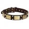 Decorated Leather Siberian Husky Collar with Brass Massive Plates and Nickel Pyramids