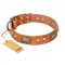 "Saucy Nature" FDT Artisan Tan Leather Siberian Husky Collar with Old Bronze Look Plates and Skulls