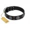 "Boundless Blue" FDT Artisan Black Leather Siberian Husky Collar with Chrome Plated Brooches and Square Studs