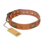 "Cosmic Traveller" FDT Artisan Adorned Leather Siberian Husky Collar with Old Bronze-Plated Stars and Plates